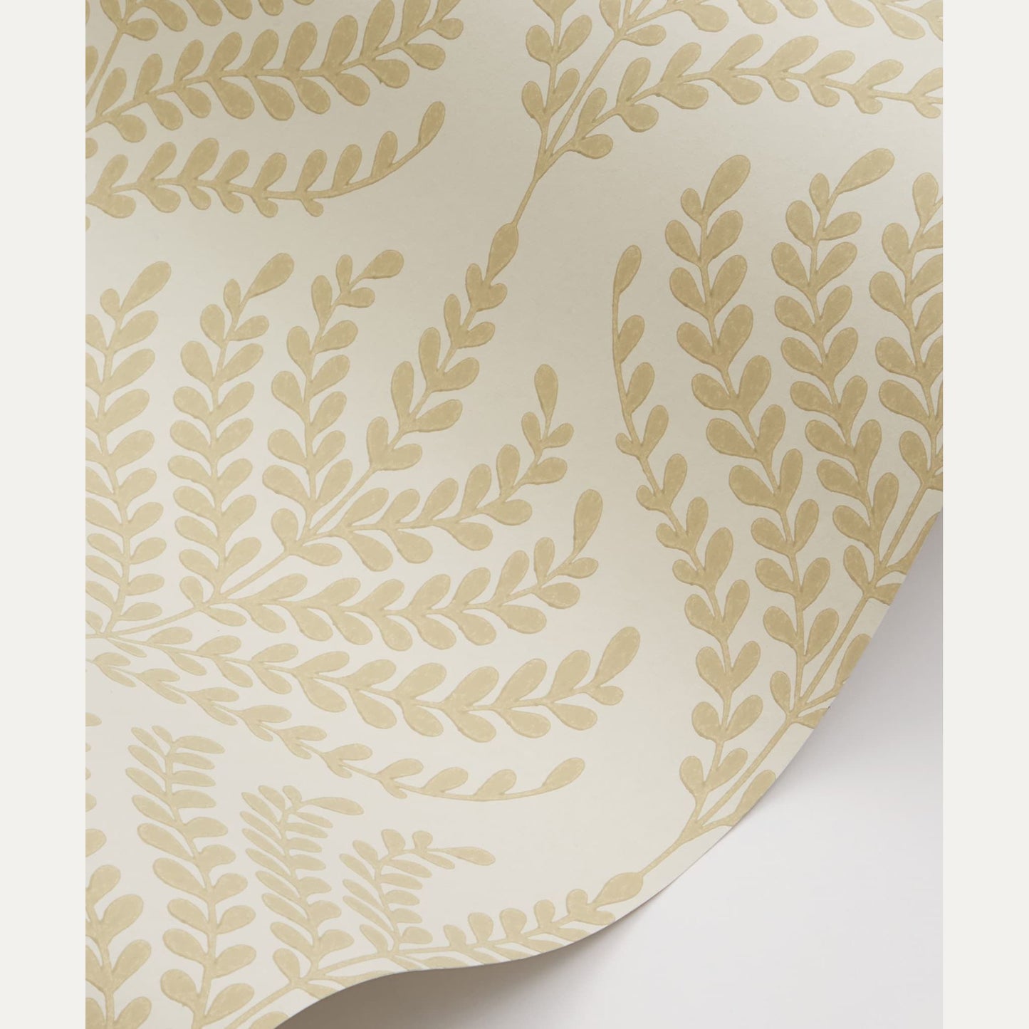 Tapetti Paisley Fern