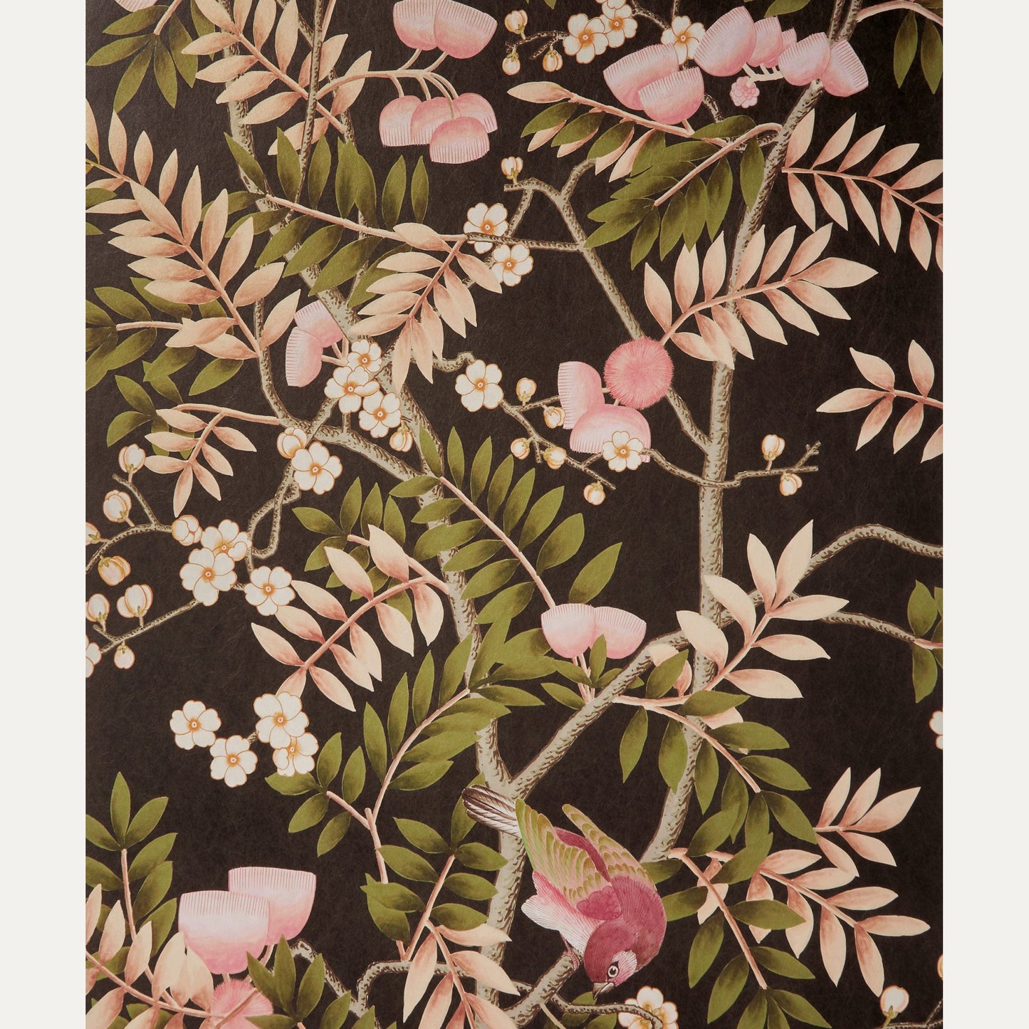 Kuvatapetti Silk Tree