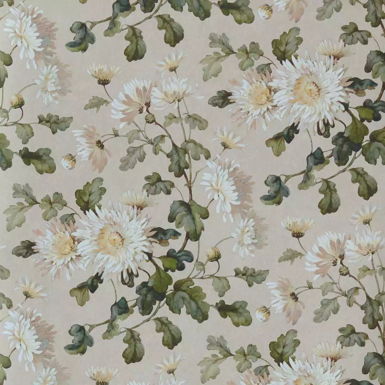 Tapetti Charlotte