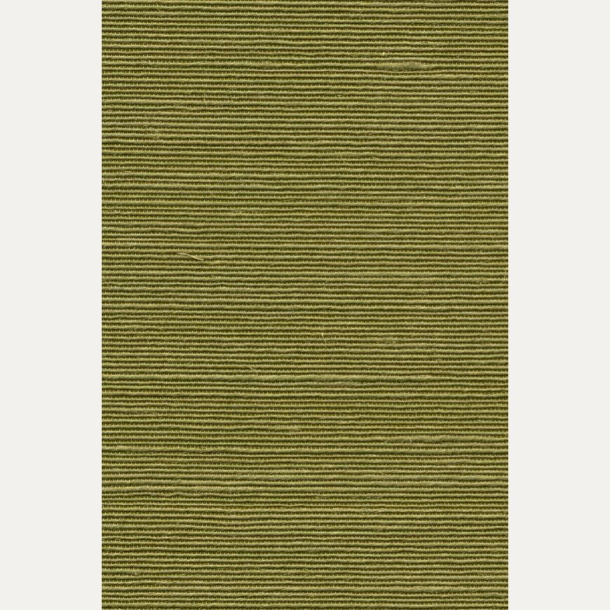 Tapetti Agave
