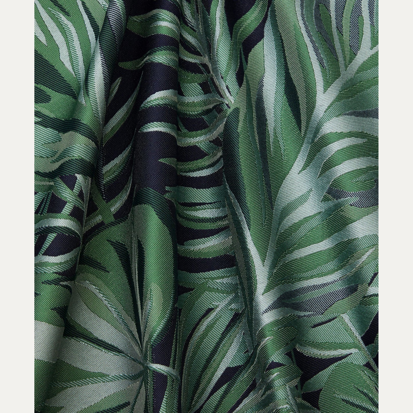 Kangas Chile Palm (outdoor)