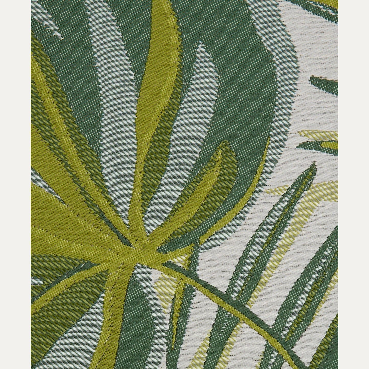 Kangas Chile Palm (outdoor)