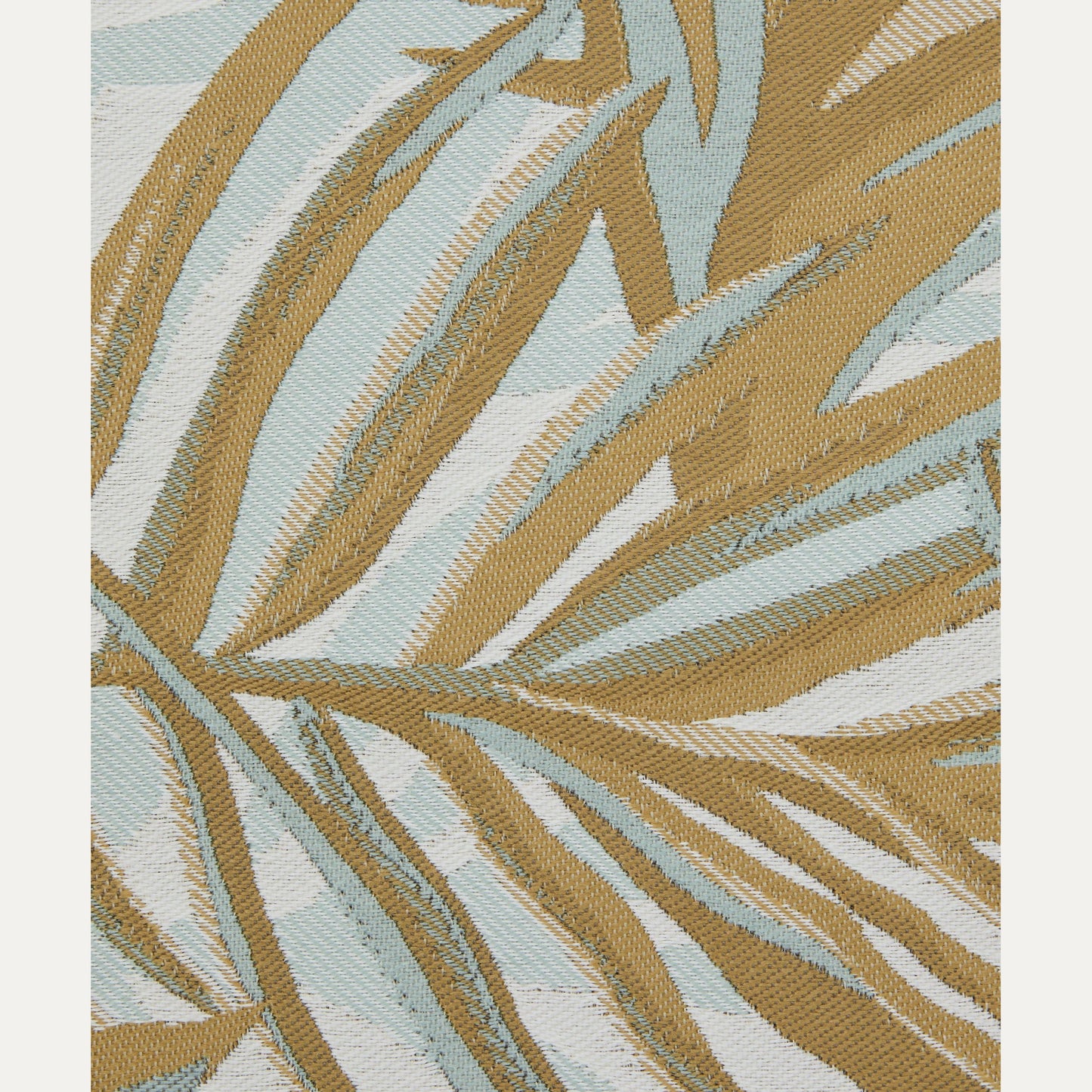 Kangas Chile Palm (outdoor)