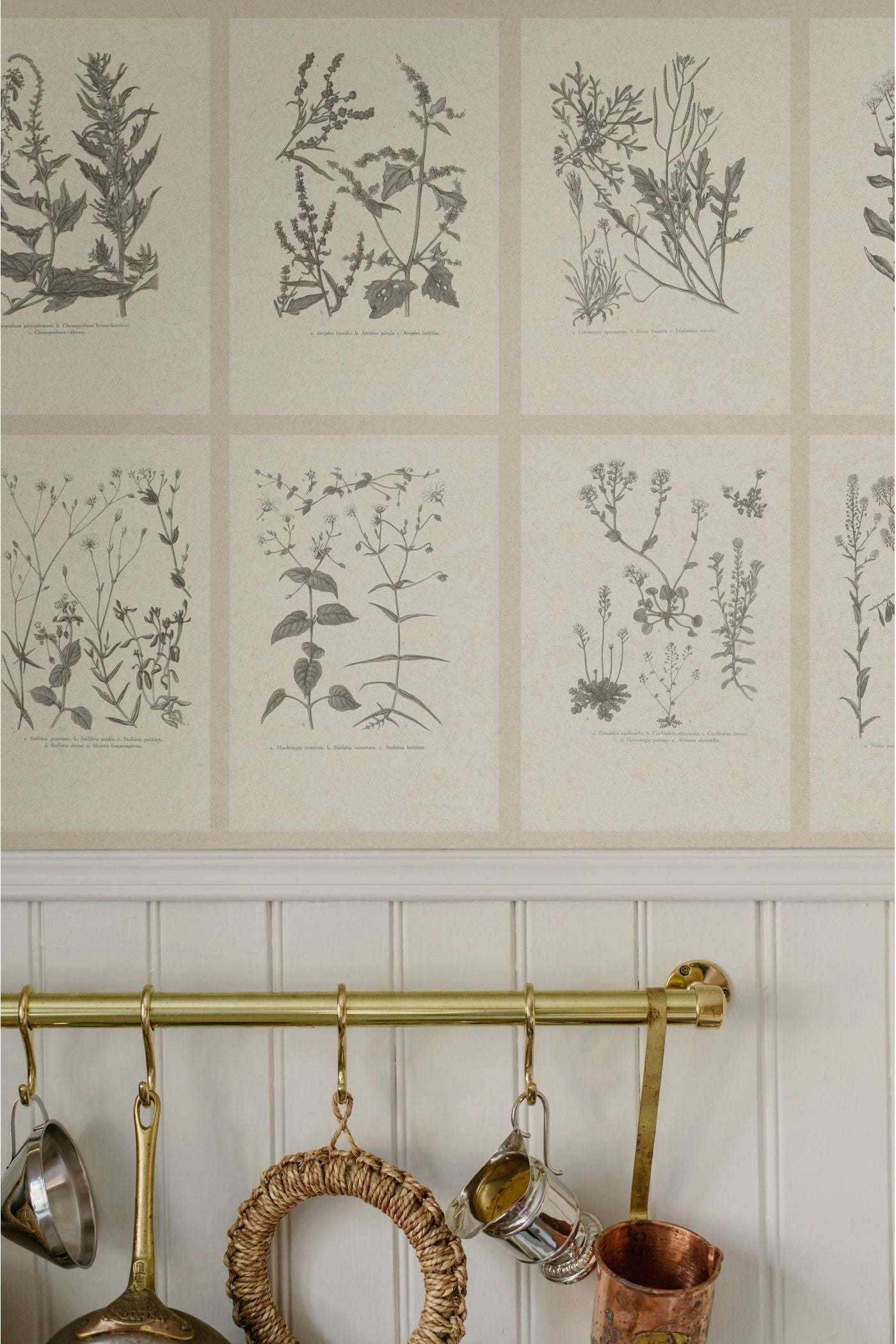 Kuvatapetti Botanica