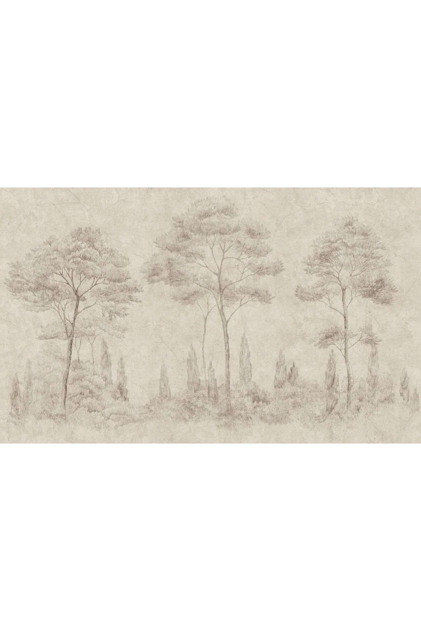 Kuvatapetti Andrea, Sand