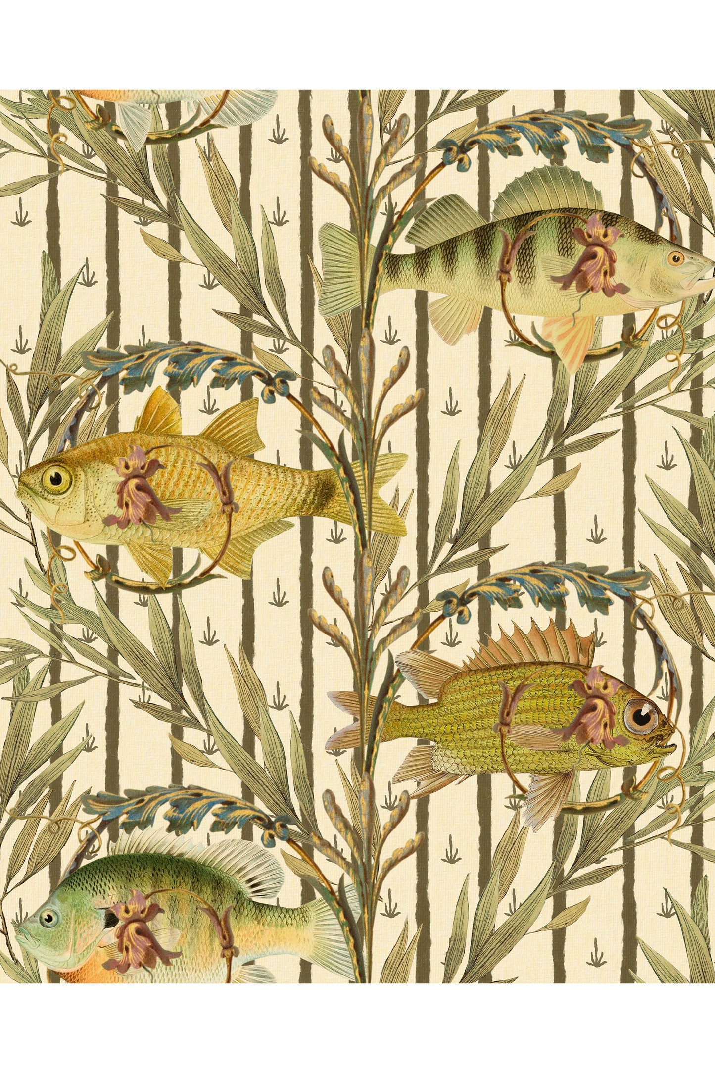 Tapetti Sweetwater Fishes