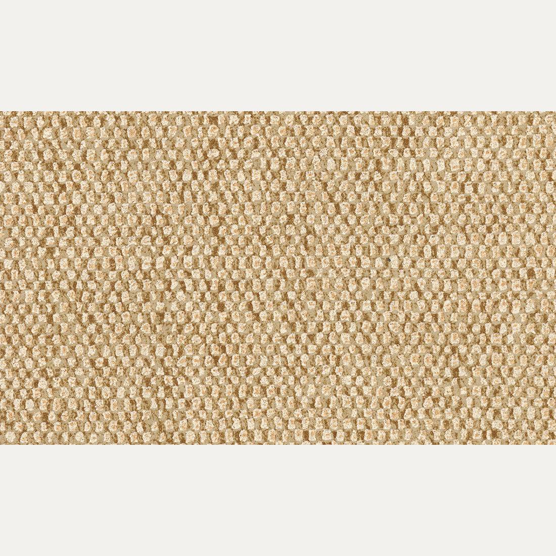 Tapetti Nelson