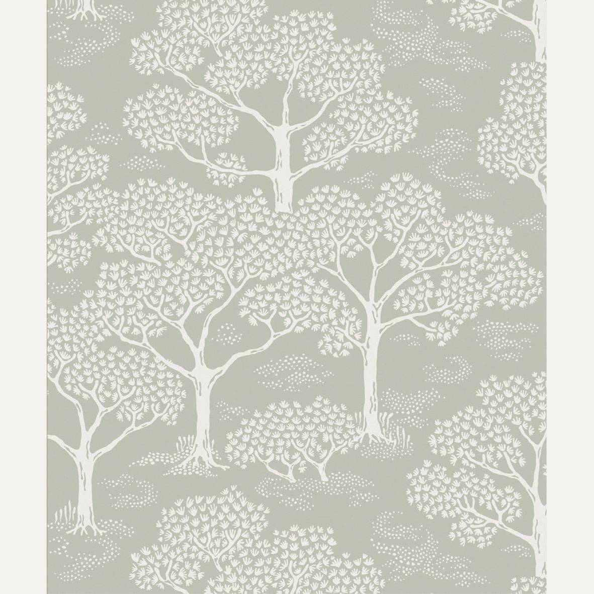 Tapetti Woodland Notes