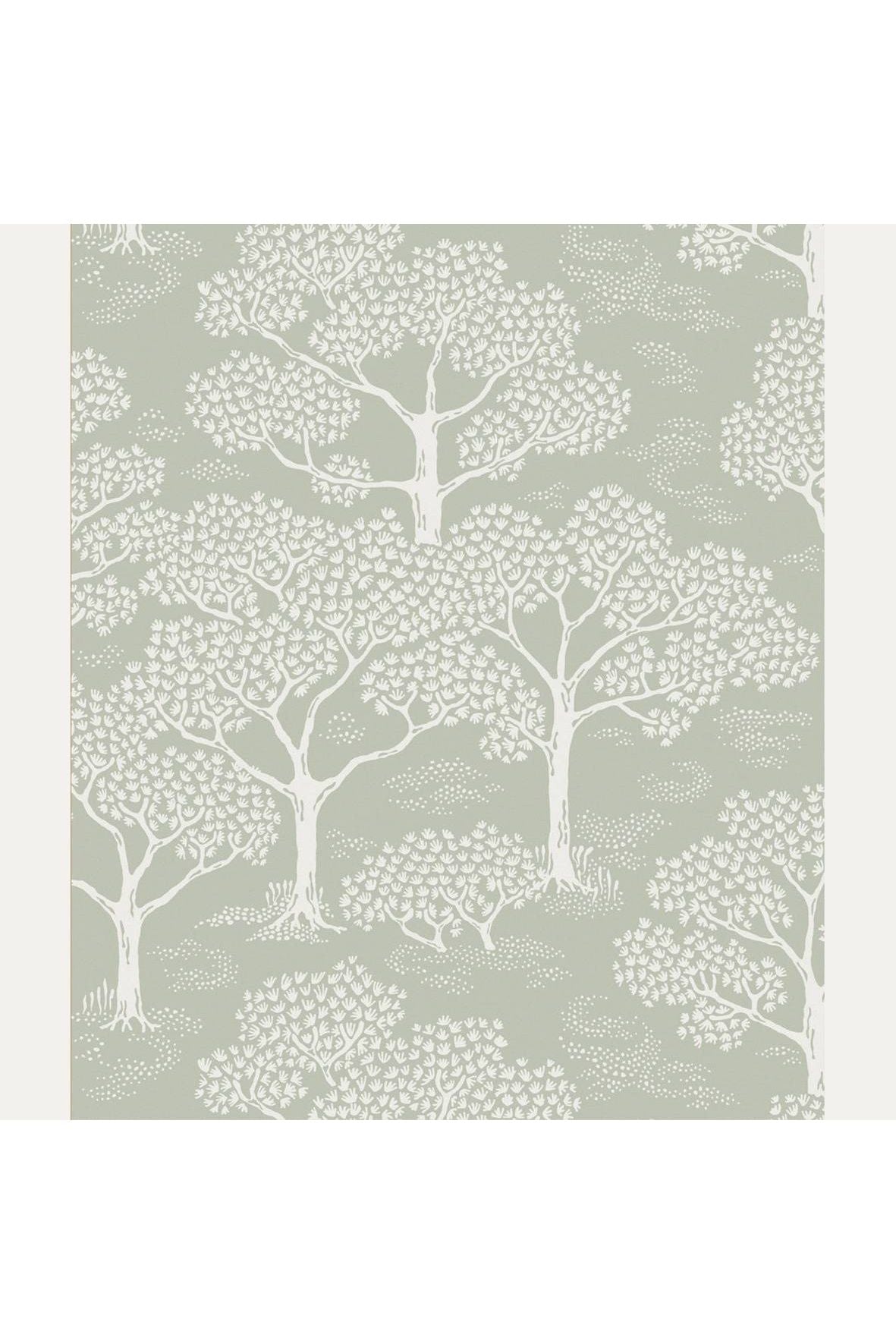 Tapetti Woodland Notes