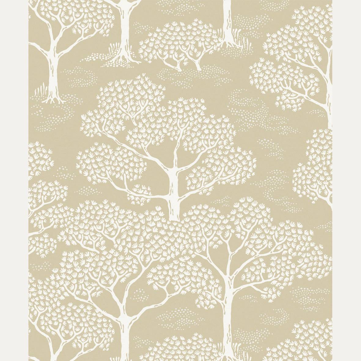 Tapetti Woodland Notes