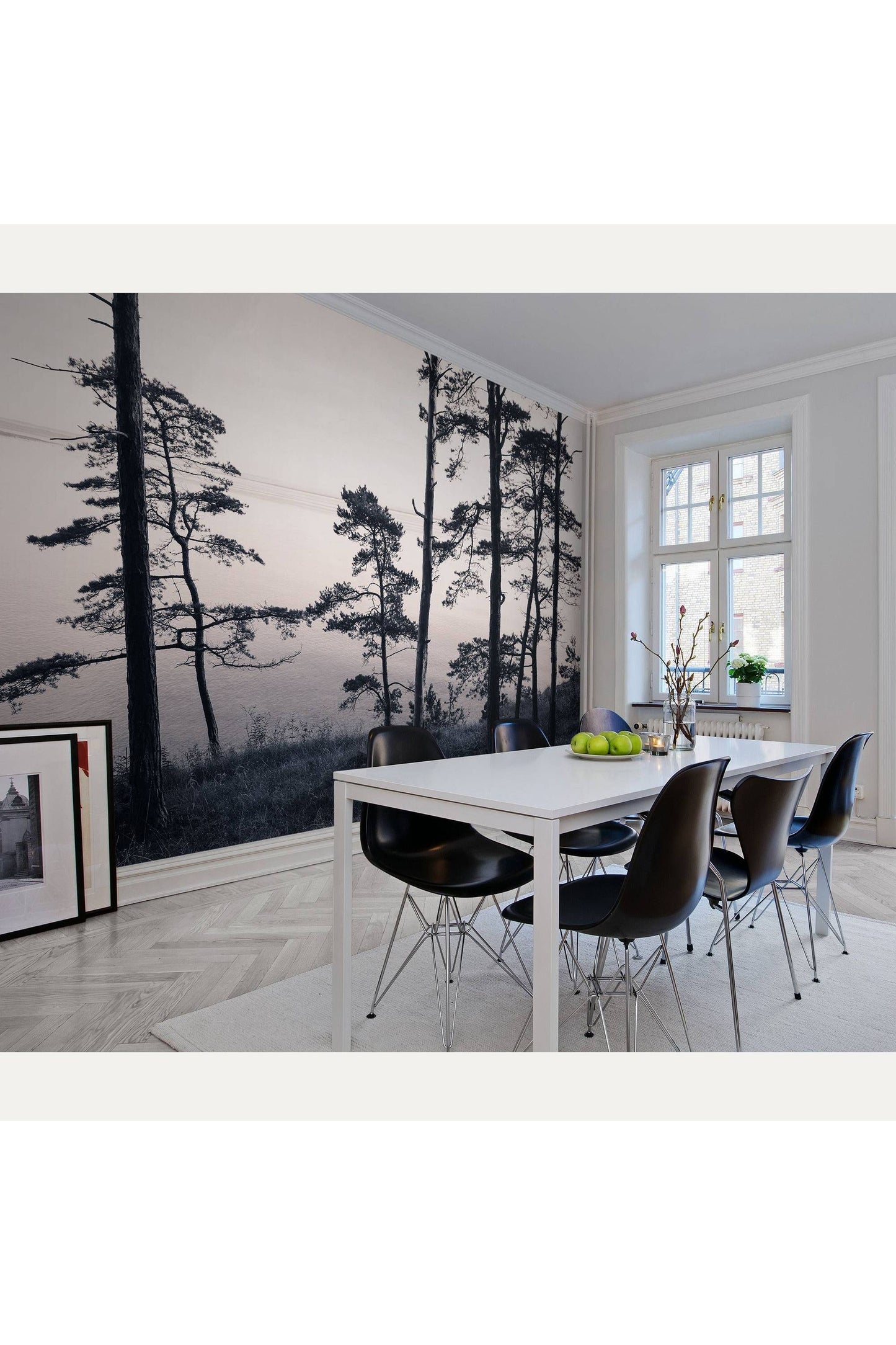 Kuvatapetti Old Pine Trees