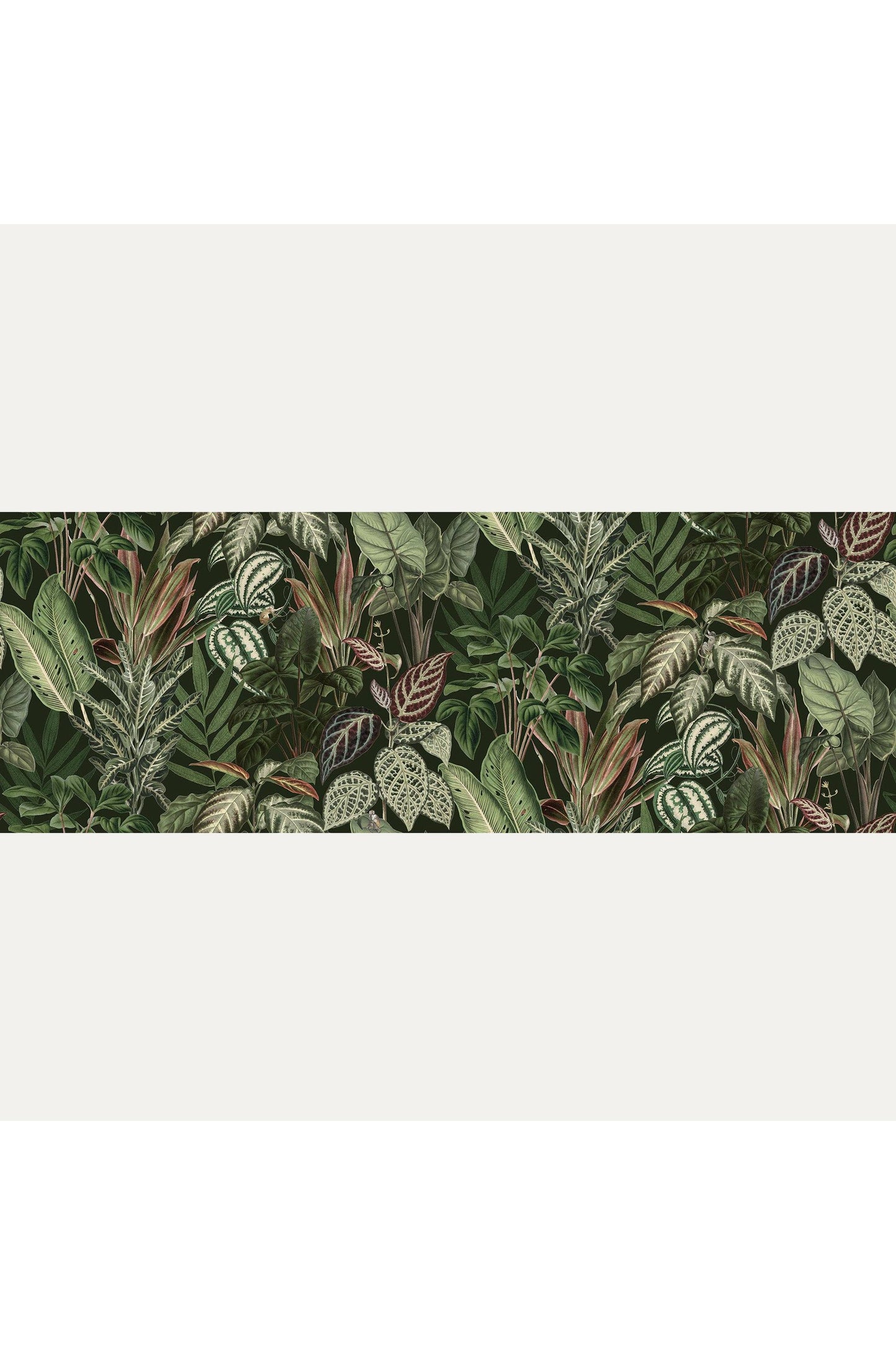 Kuvatapetti Mischievous Monkeys