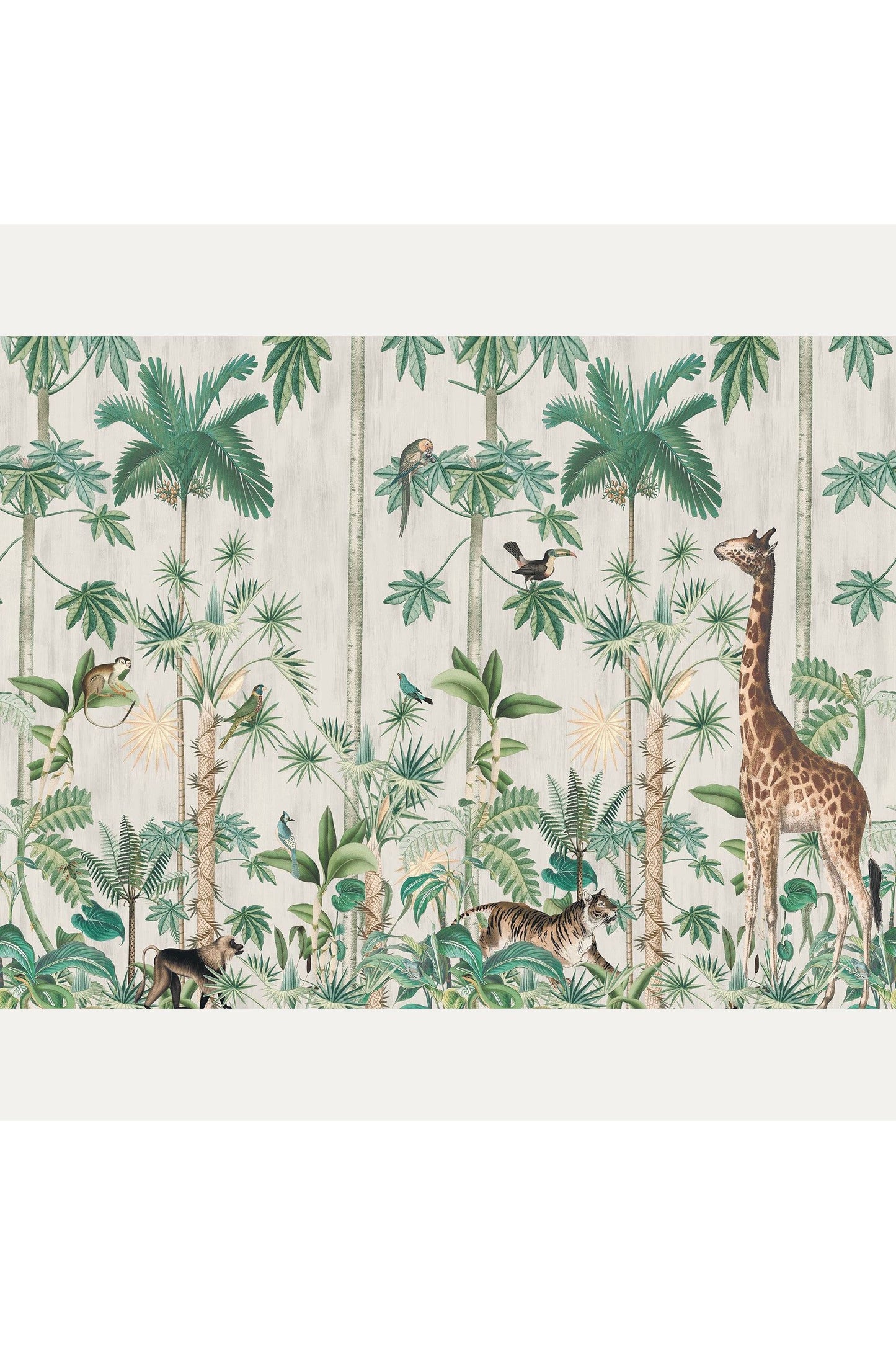 Tapetti Giraffes Stroll, Nightfall