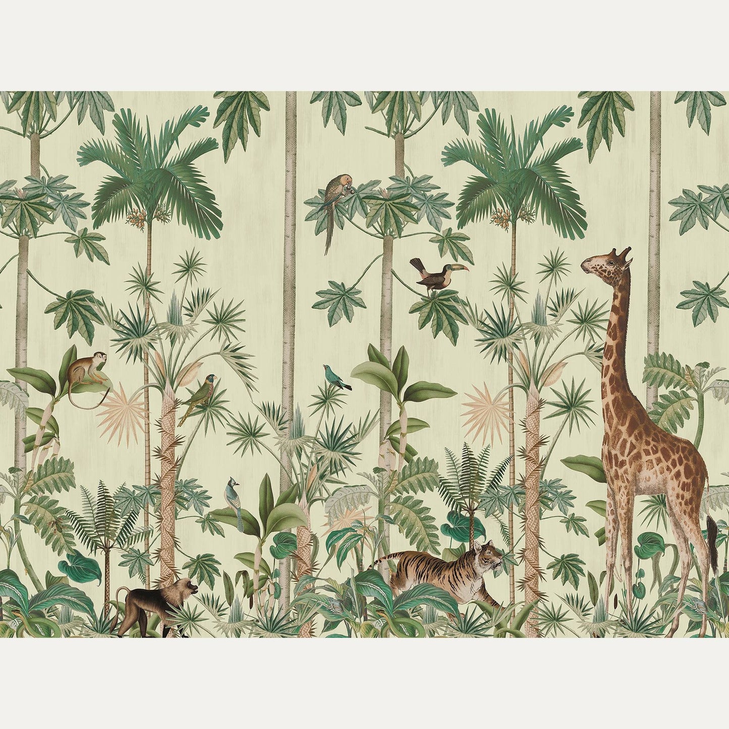 Kuvatapetti Giraffe's Stroll
