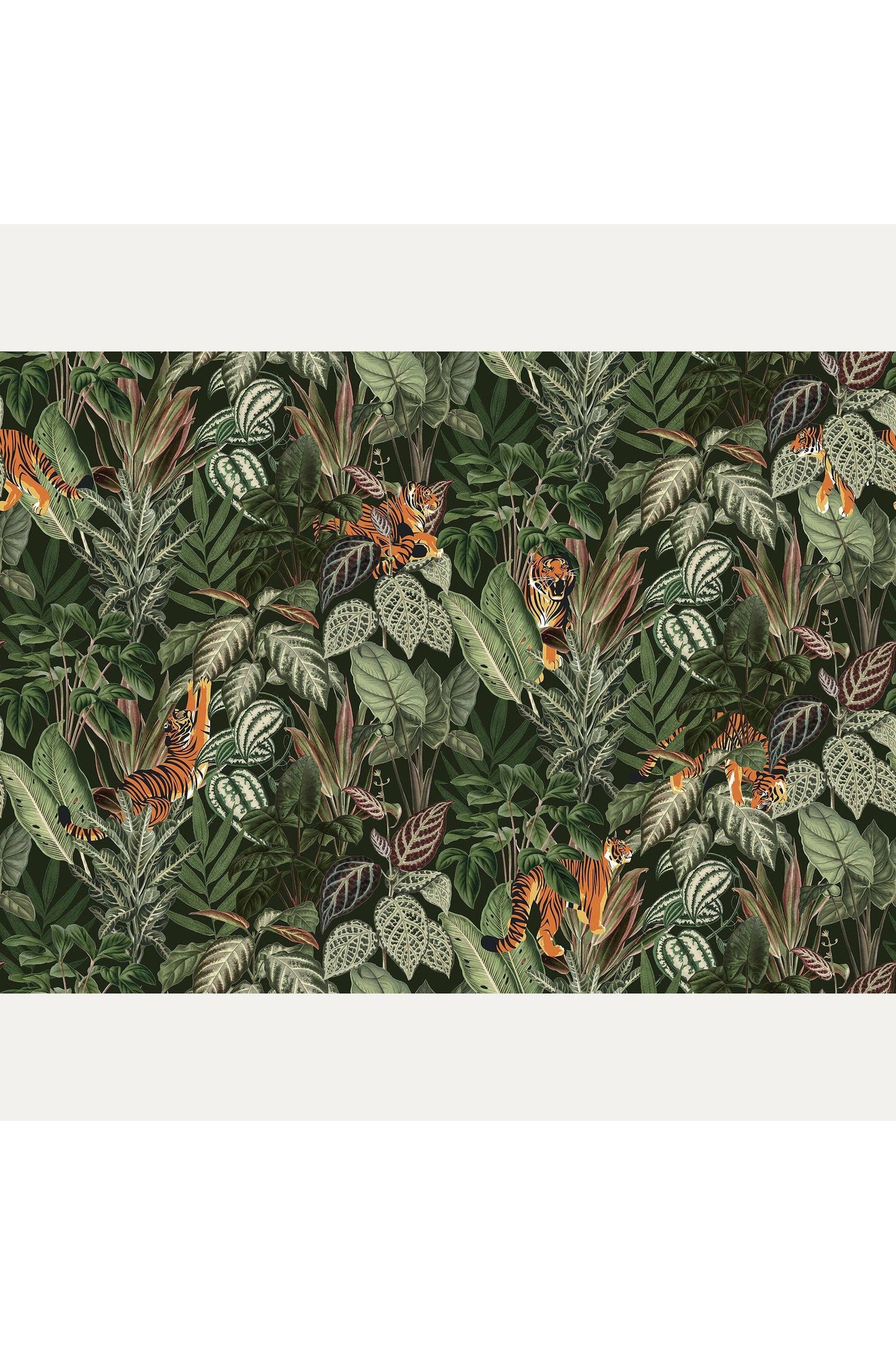 Tapetti Mischievous Tigers, Moonlight