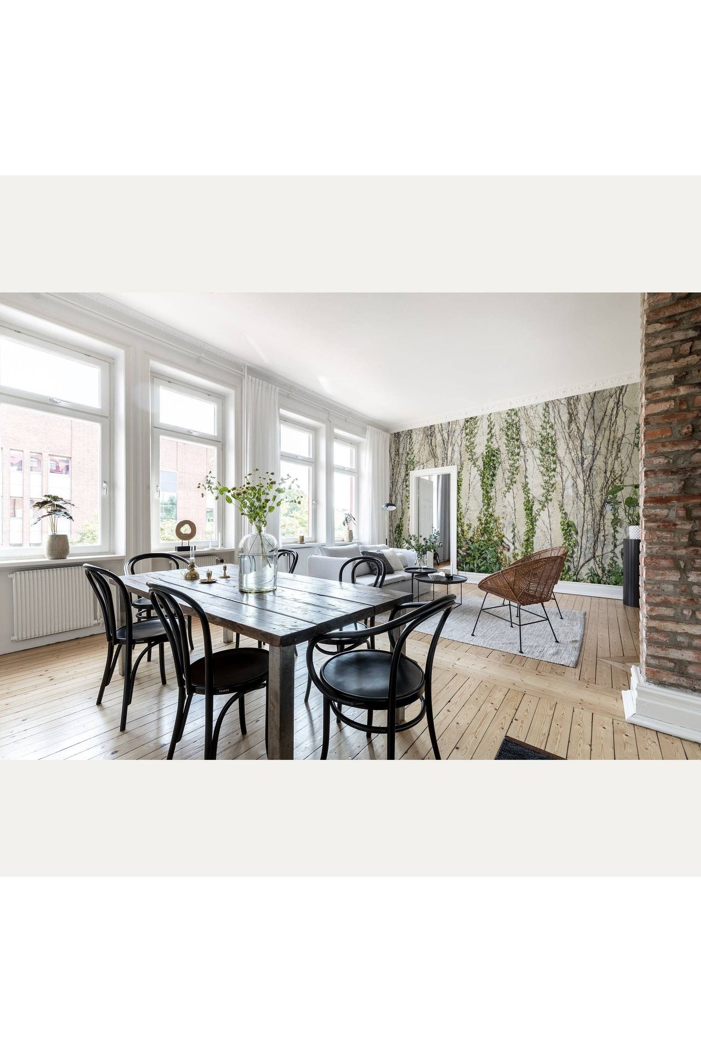 Kuvatapetti Climbing Ivy