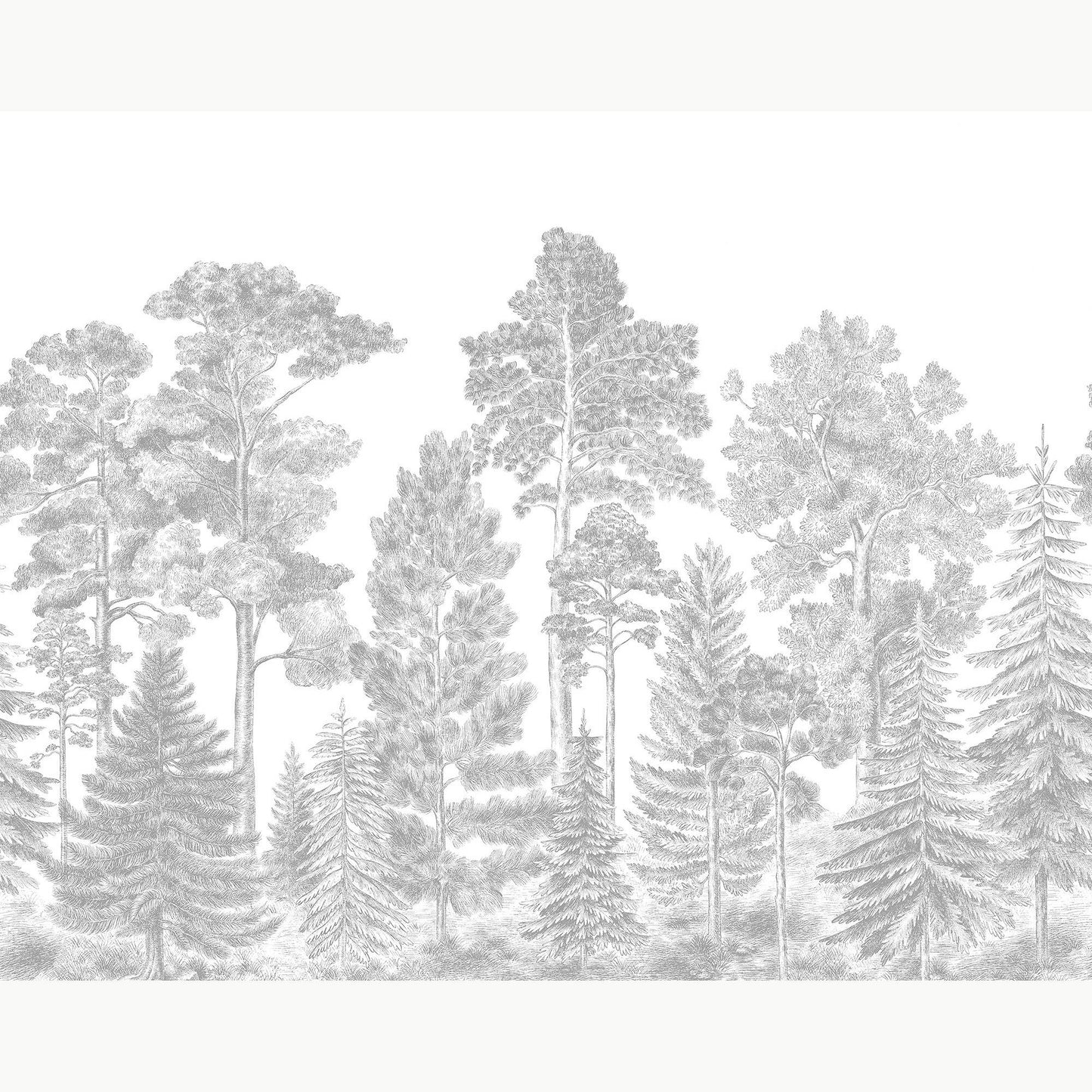 Kuvatapetti Scandinavian Bellewood