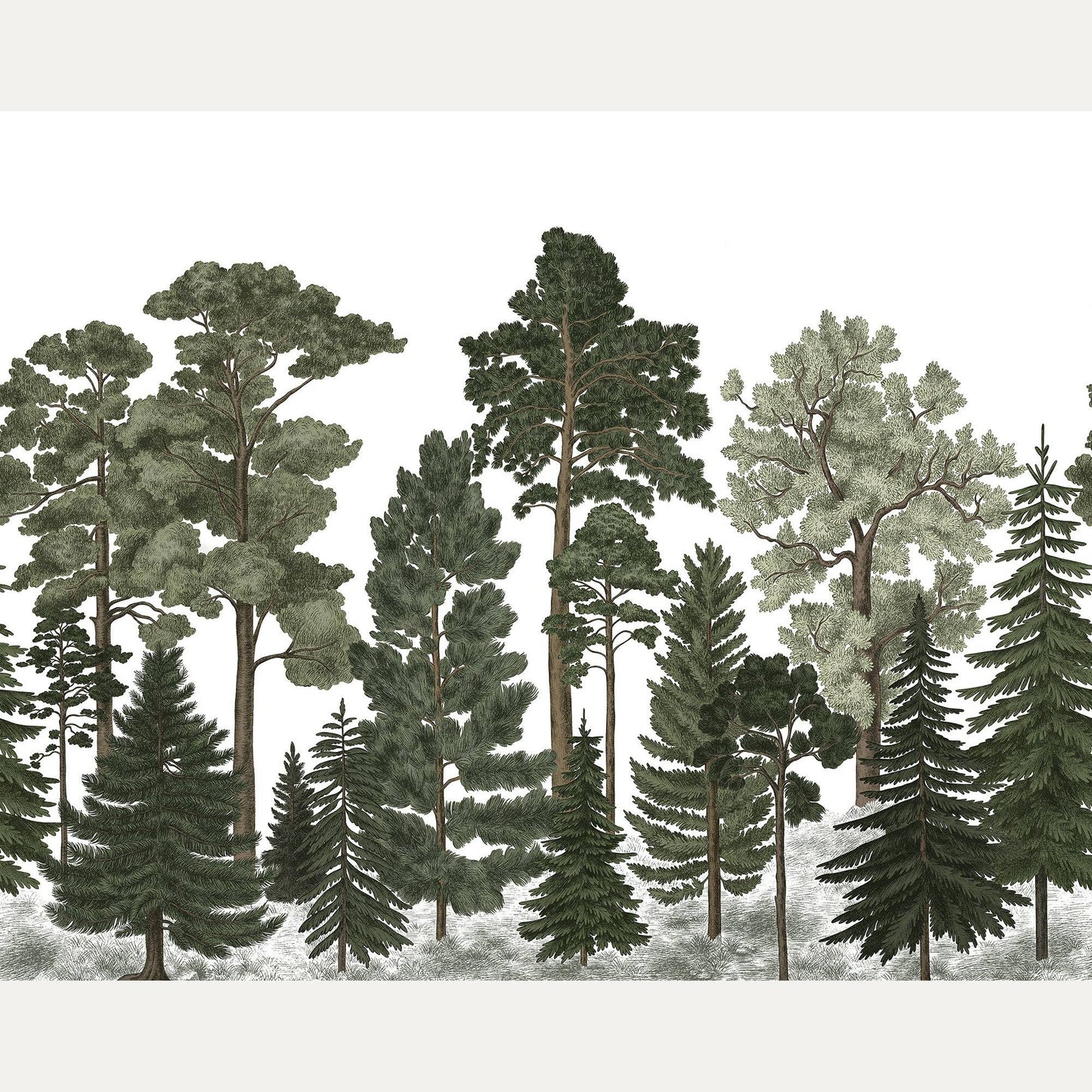 Kuvatapetti Scandinavian Bellewood