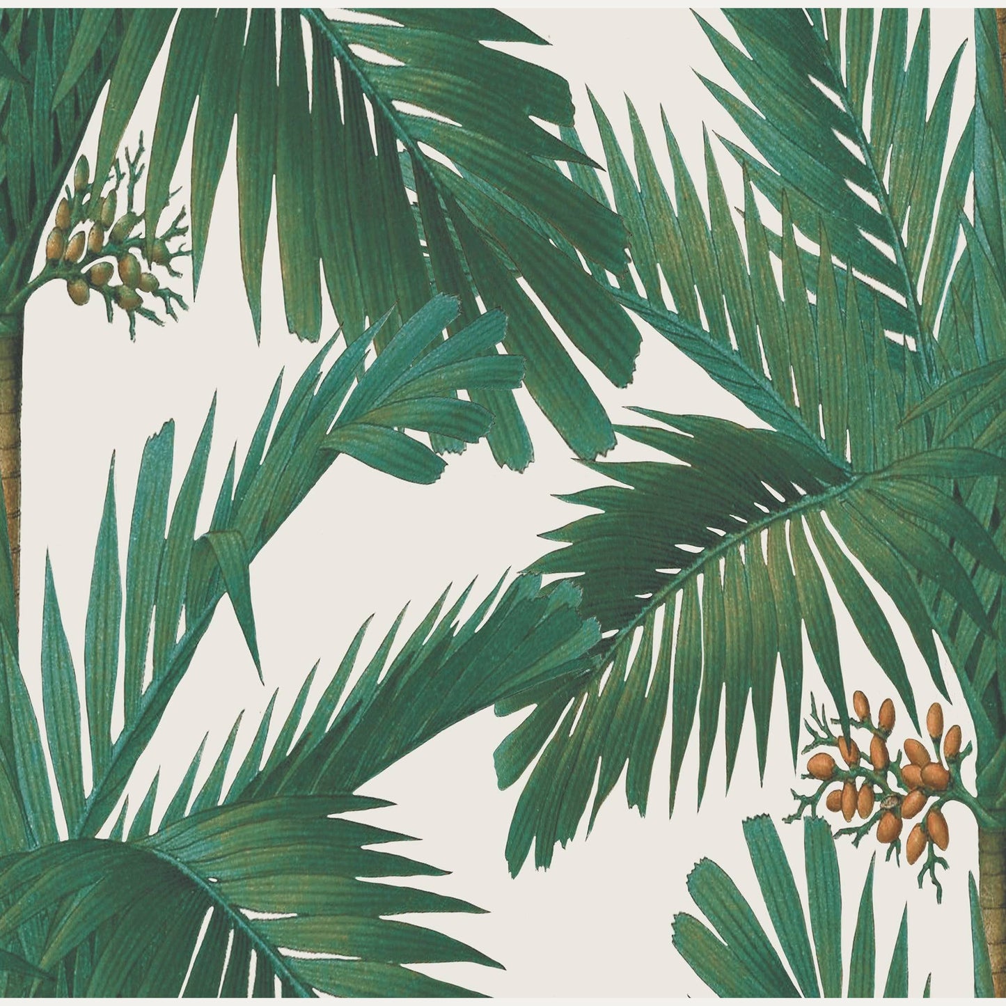 Tapetti Palm Spring