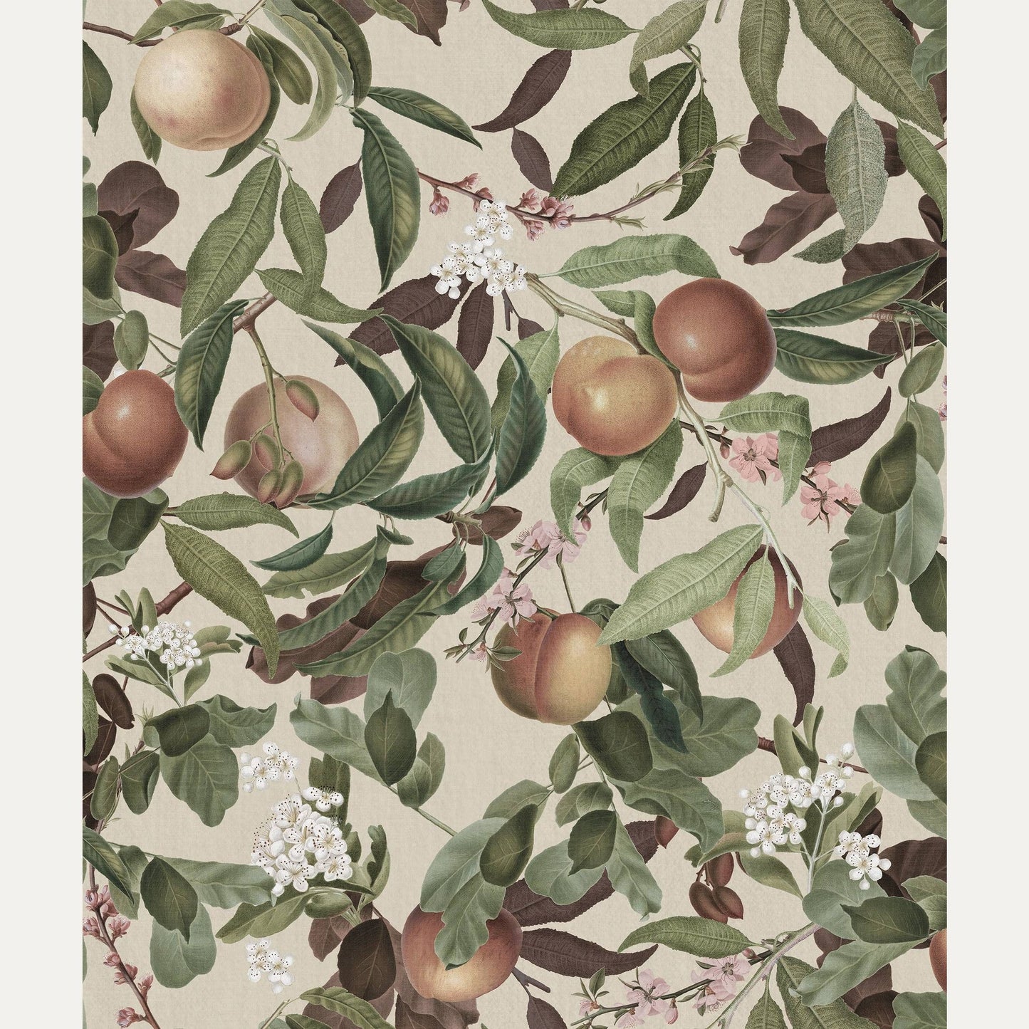 Tapetti Peach Valley