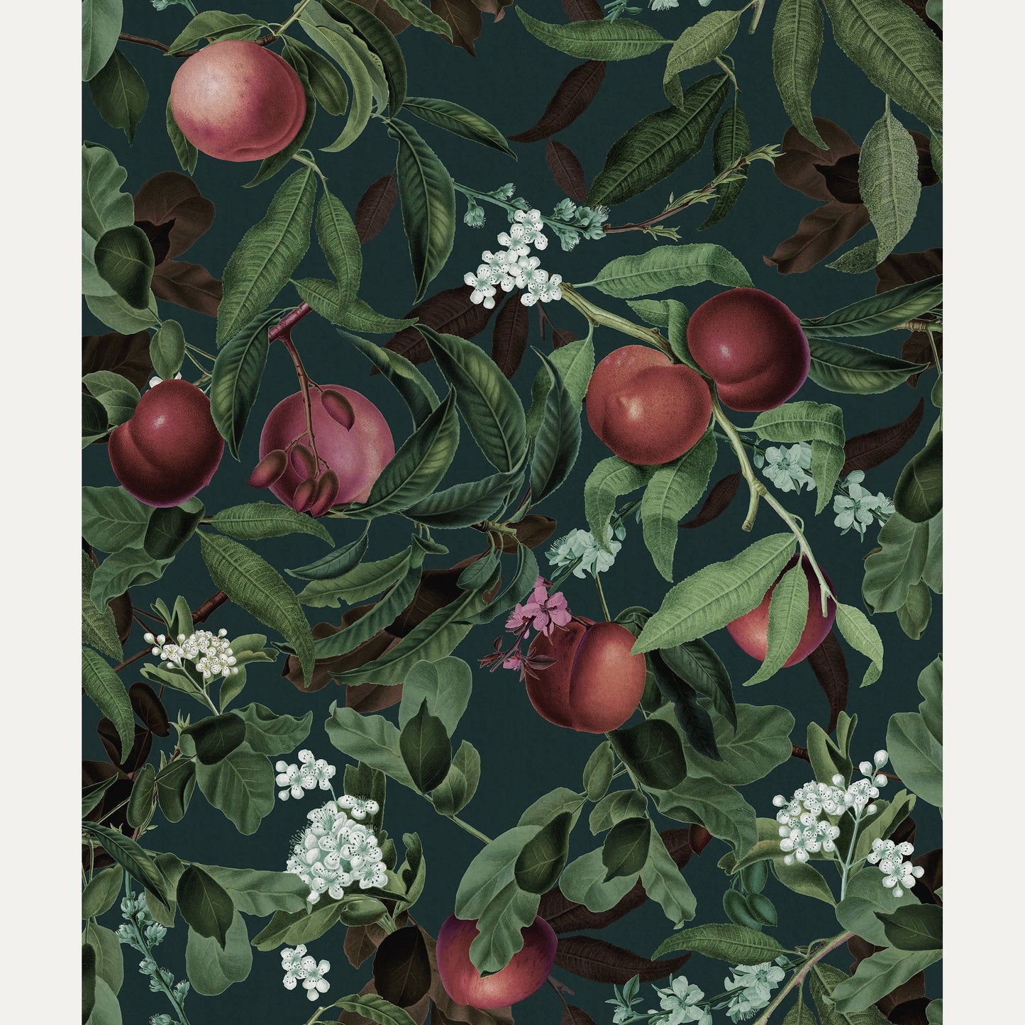 Tapetti Peach Valley