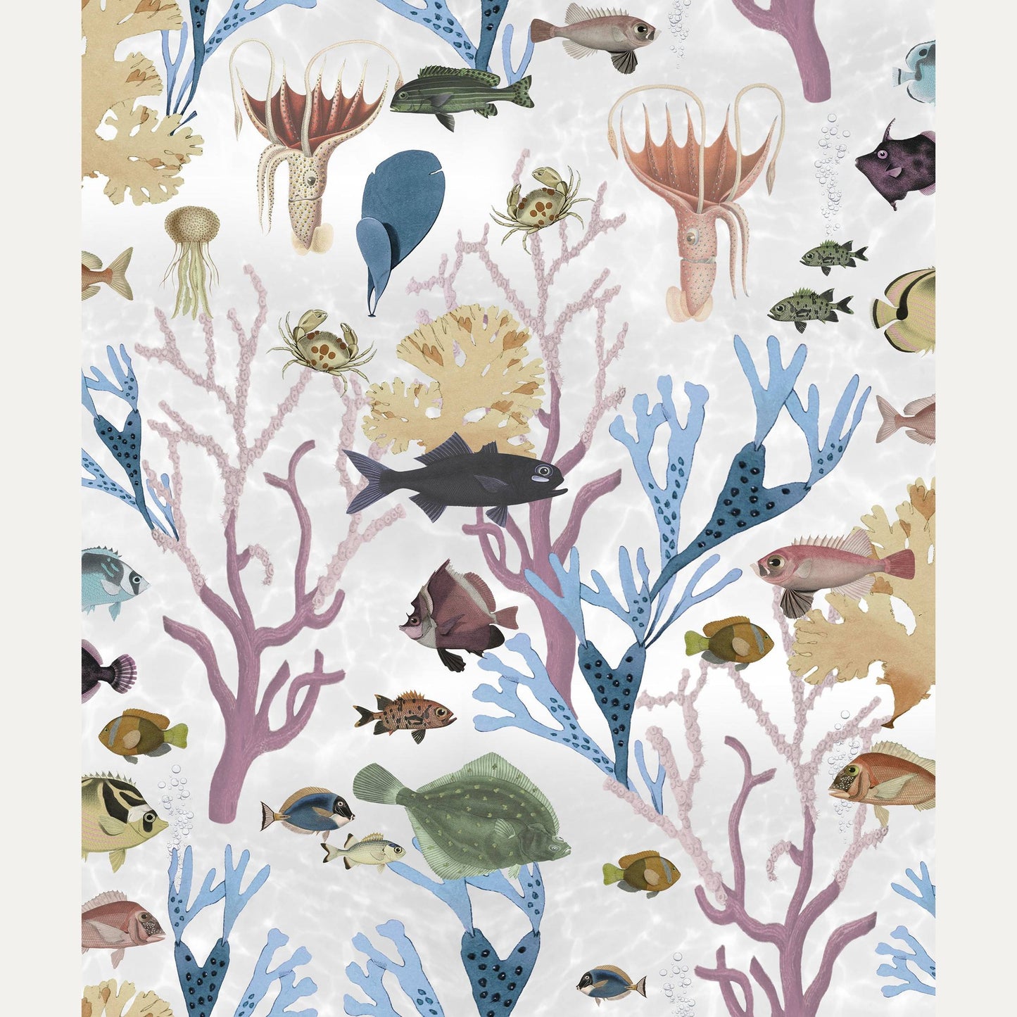 Tapetti Aquarium