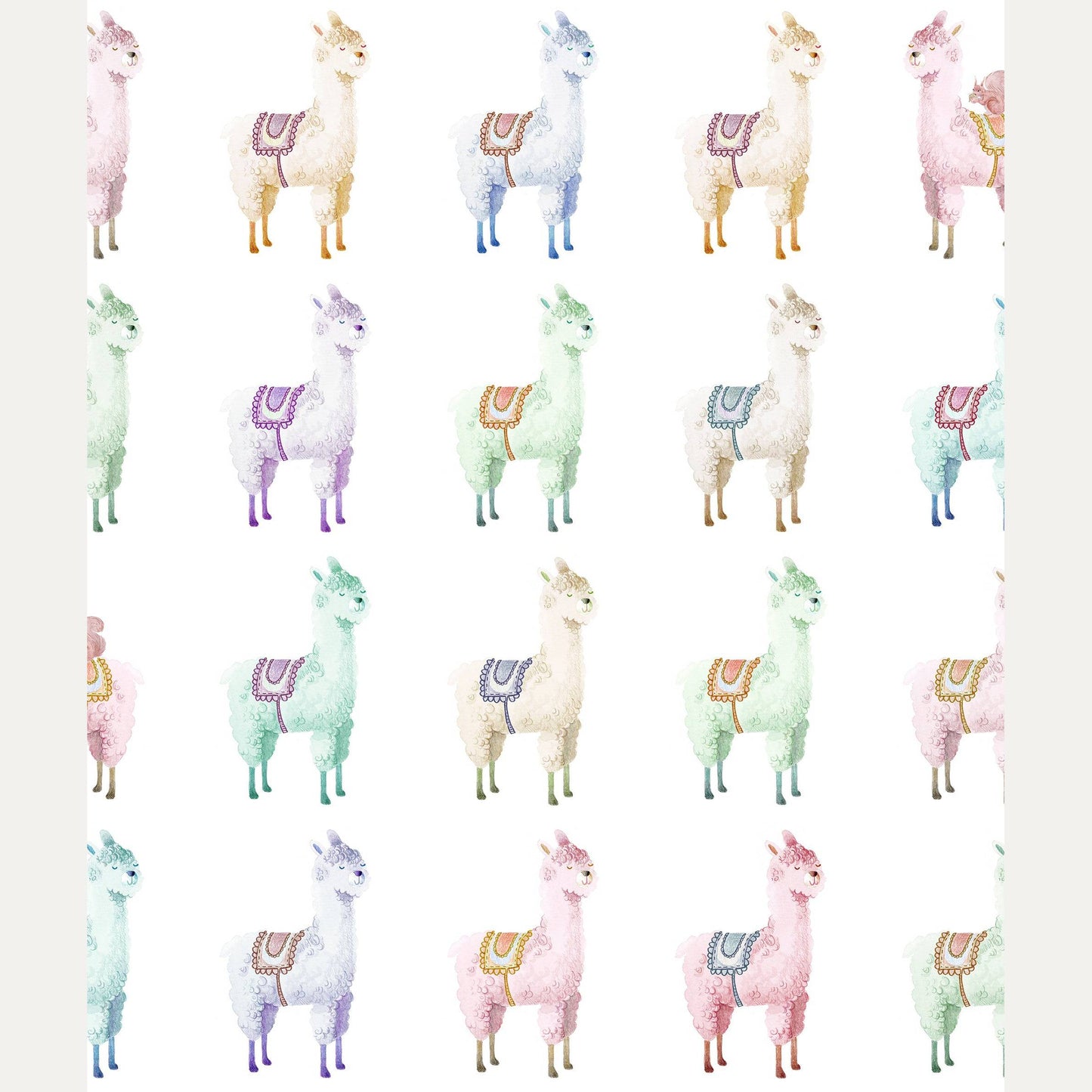 Tapetti Alpaca Rebel