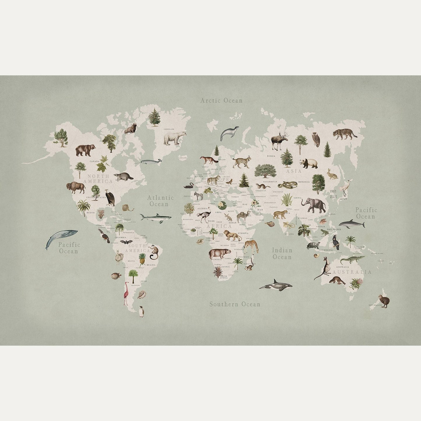 Kuvatapetti Animal World