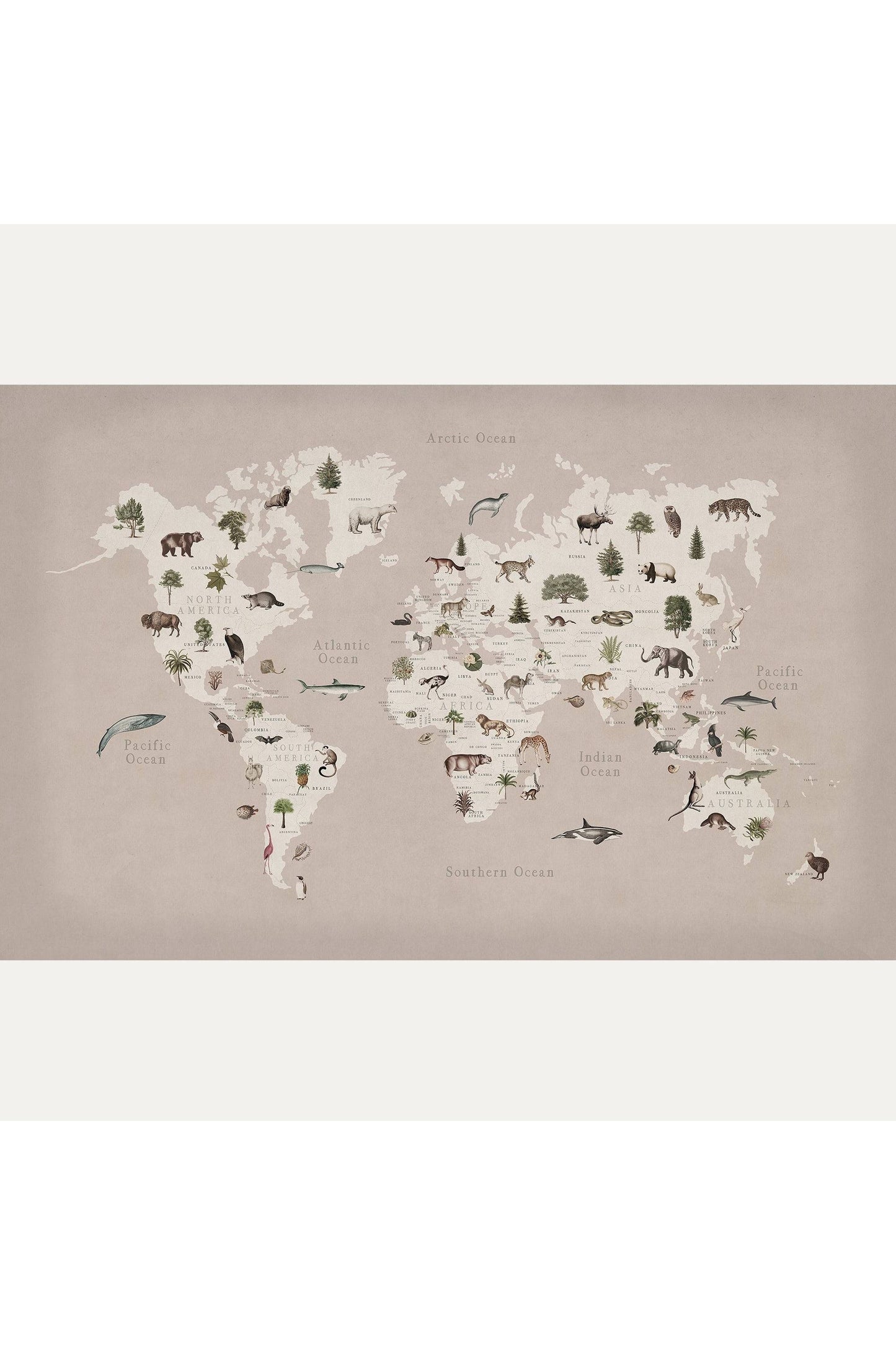 Kuvatapetti Animal World