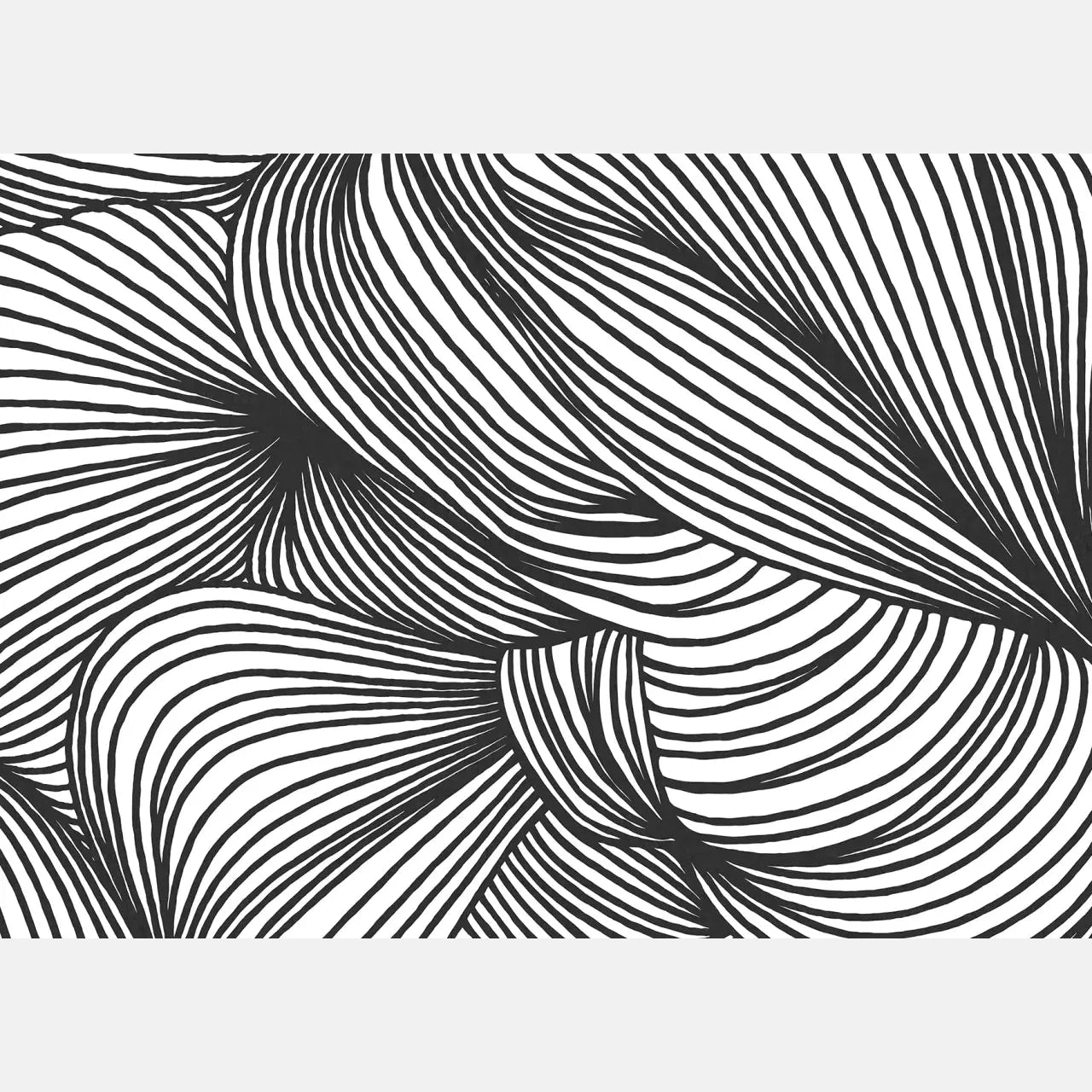 Kuvatapetti Opulence Lines