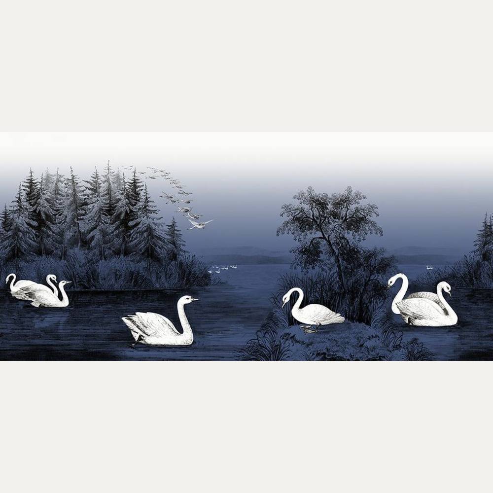 Kuvatapetti Swan Lake