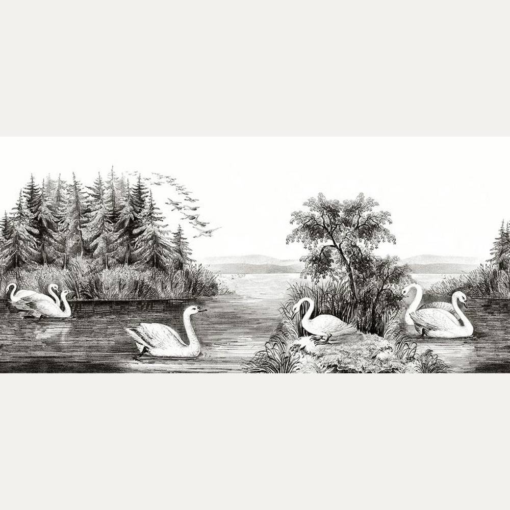 Kuvatapetti Swan Lake