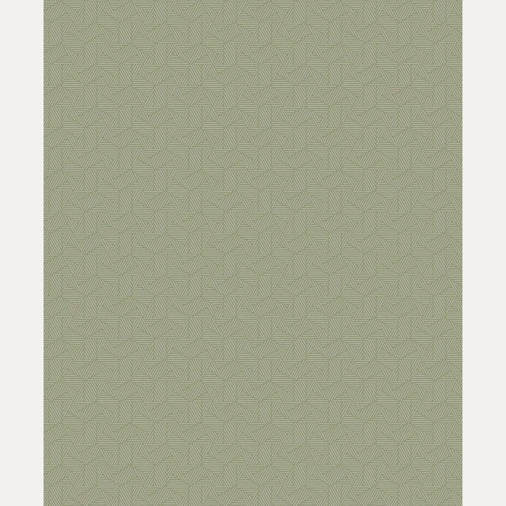 Tapetti Limit