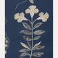Tapetti Botanical Stripe