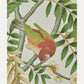 Kuvatapetti Silk Tree