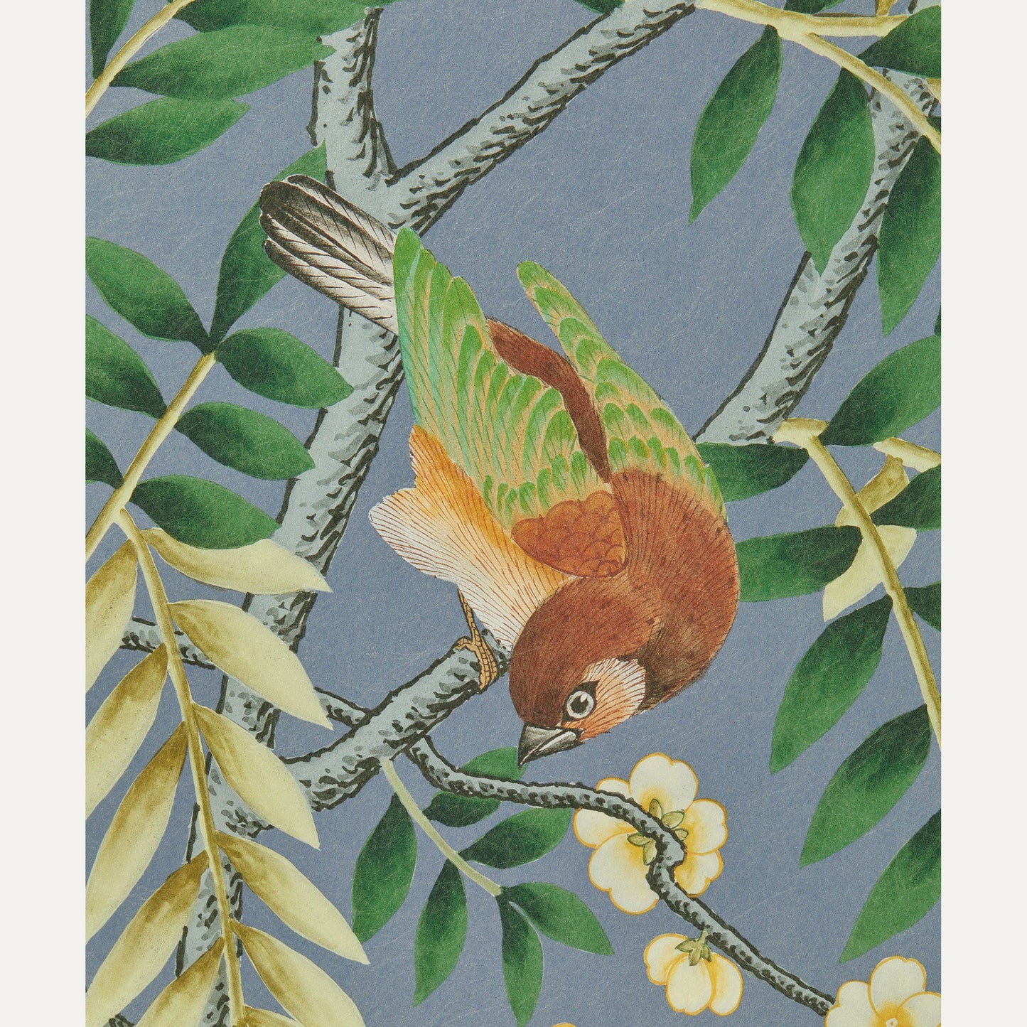 Kuvatapetti Silk Tree