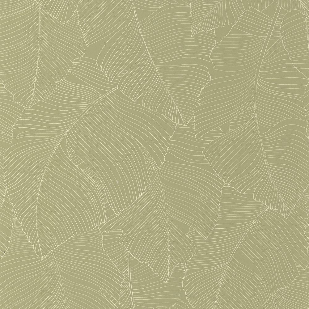 Tapetti Vegetalia Kaki 0,53x10,05m