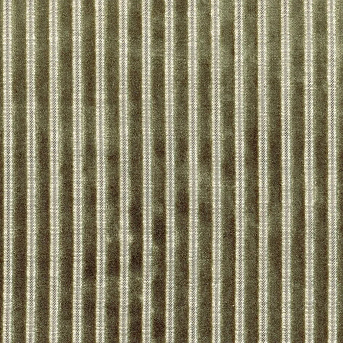 Kangas Zebu