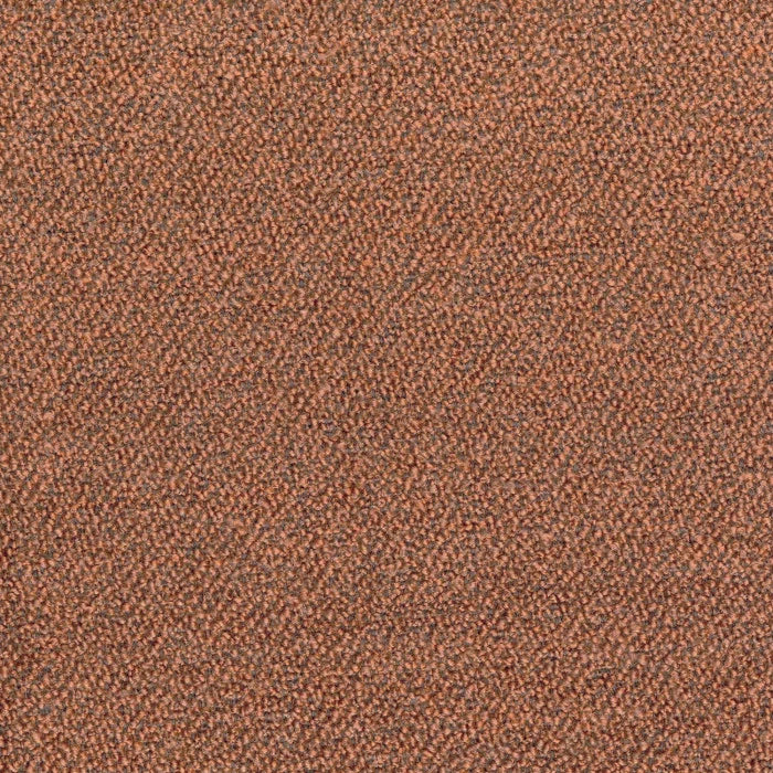 Kangas Abruzzes