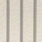 Kangas Scoperta
