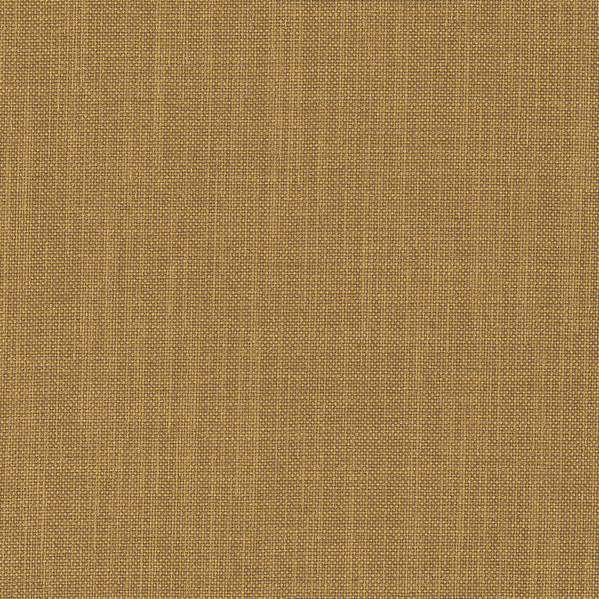 Kangas Esprit Camel