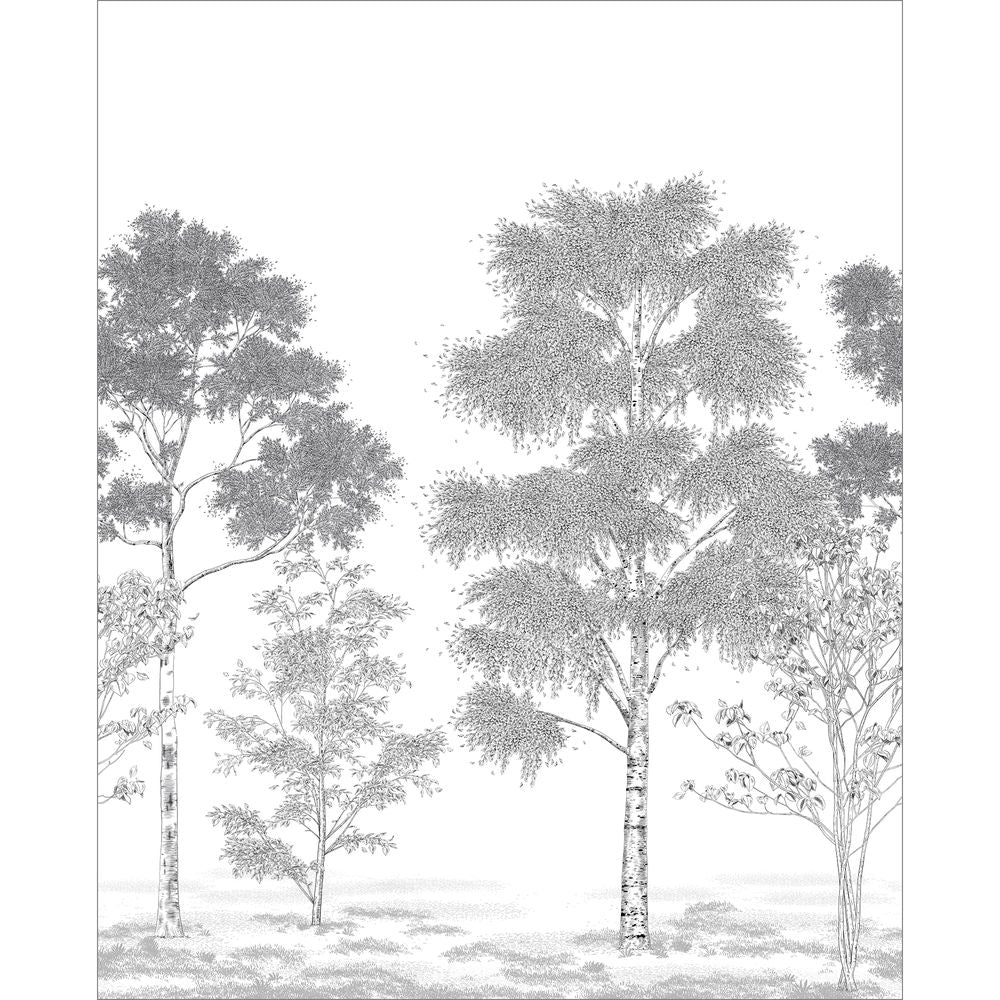 Tapetti Poesie Printaniere Noir 250X310 cm