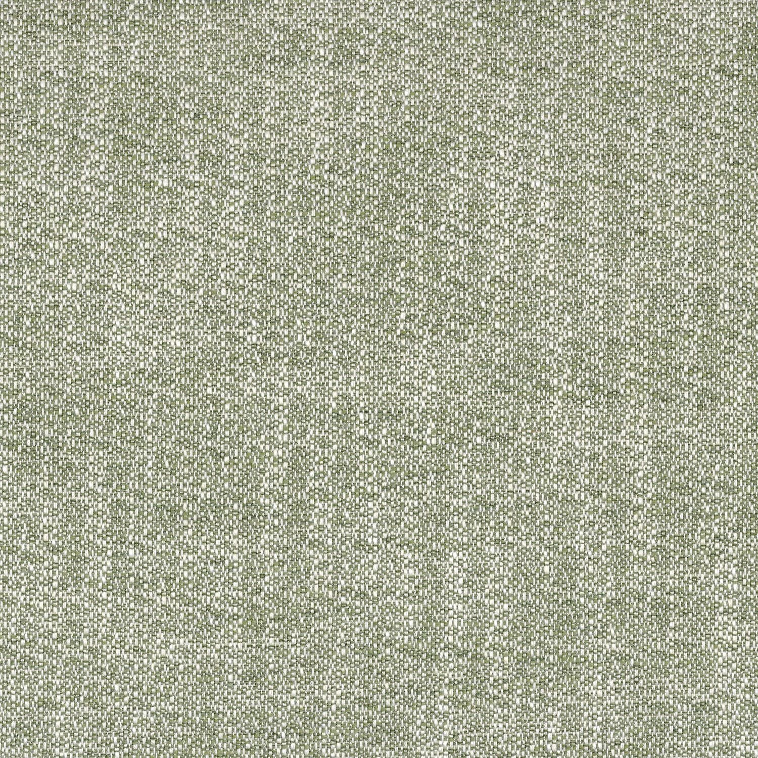 Kangas Tramea FR Olive