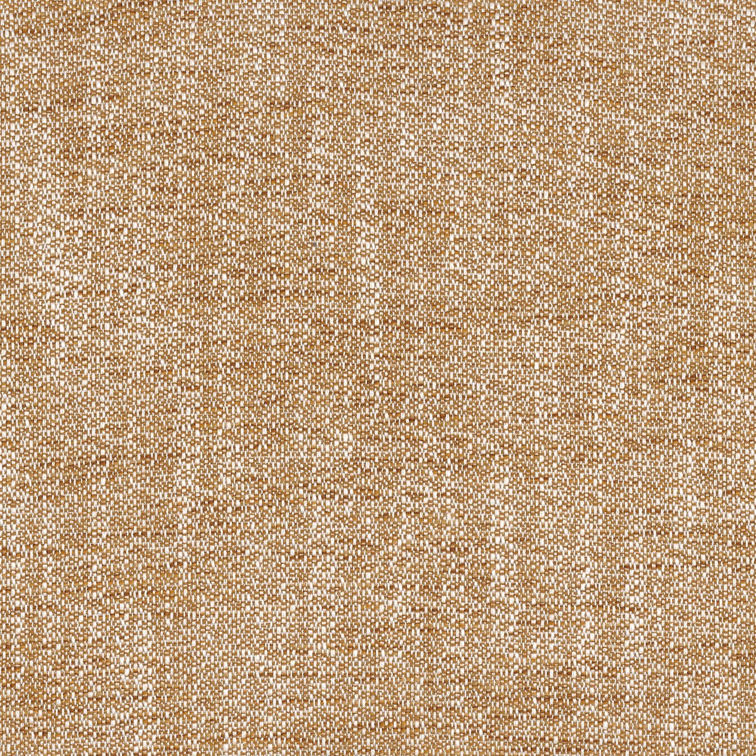 Kangas Tramea FR Ocre