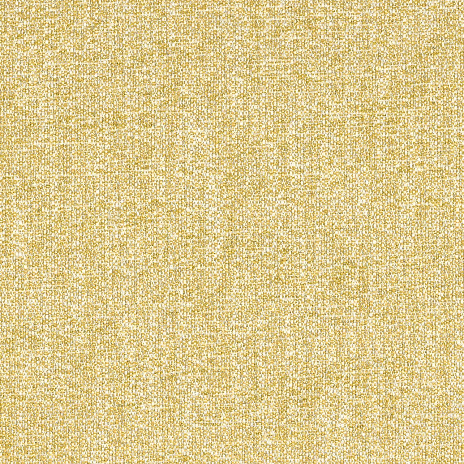 Kangas Tramea FR Soleil