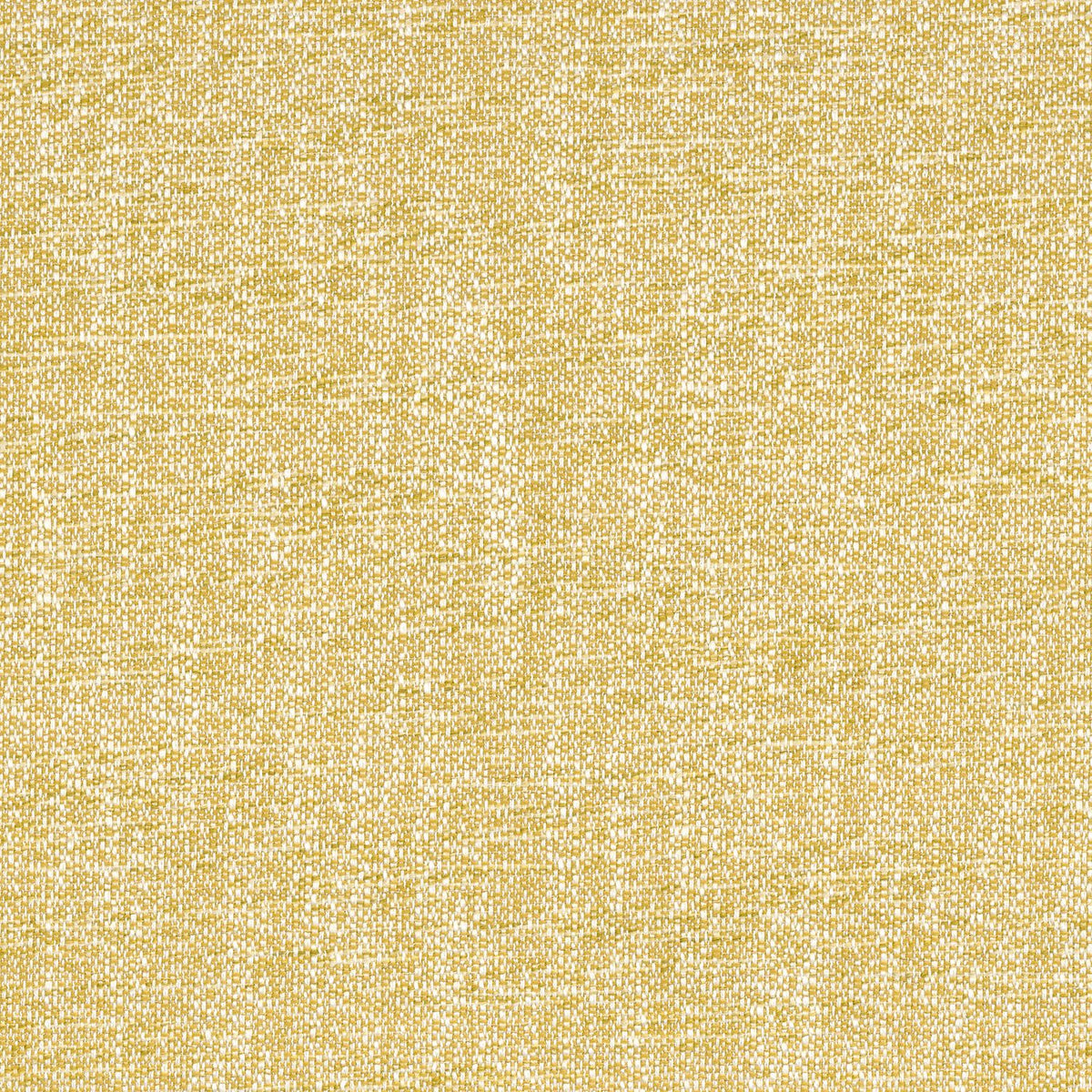 Kangas Tramea FR Soleil
