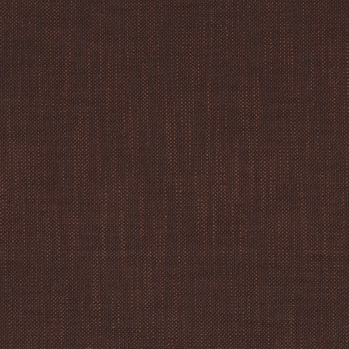 Kangas Teguise Cacao