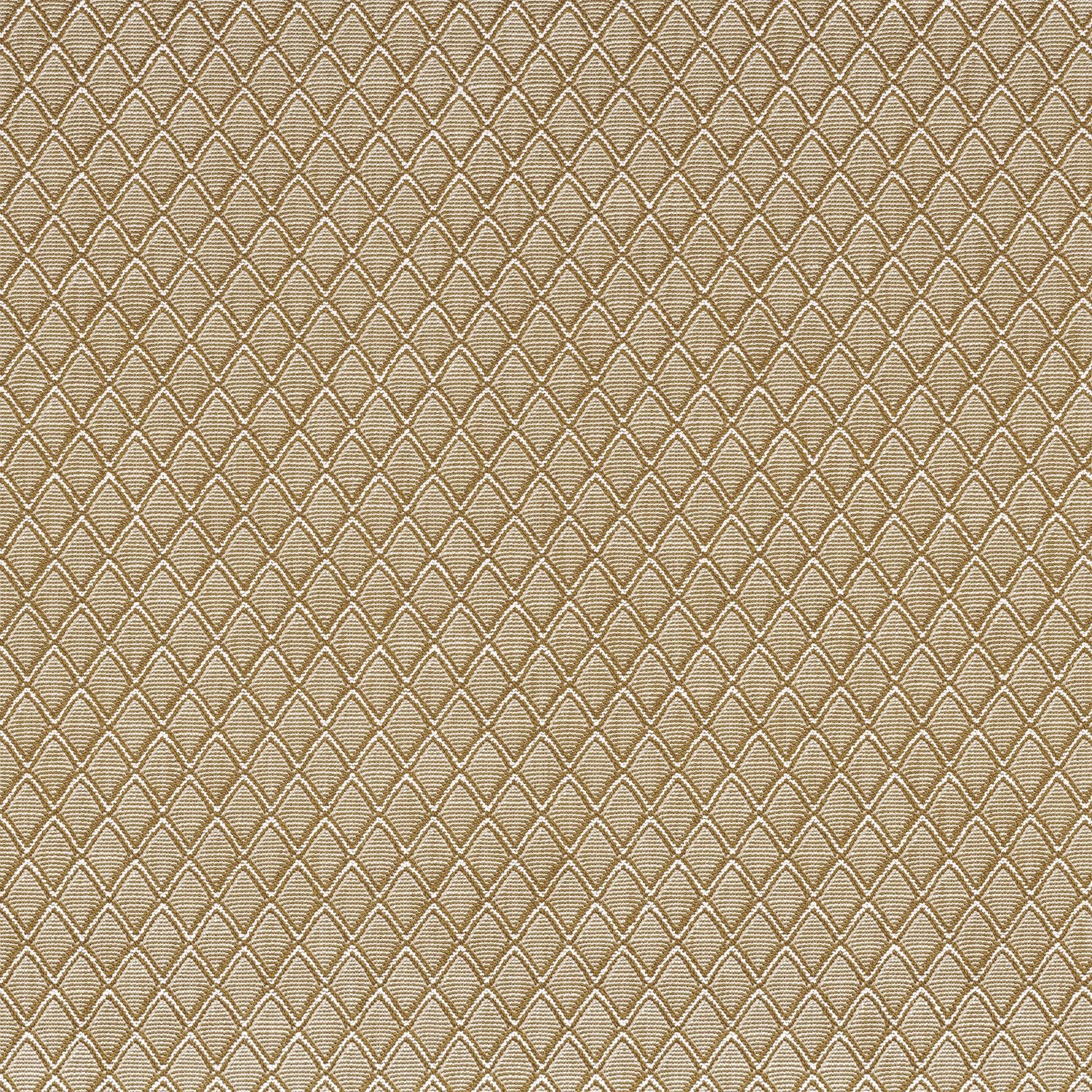 Kangas Sandori Camel