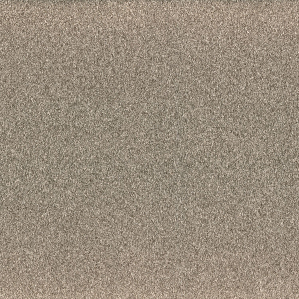 Kangas Clyde Taupe