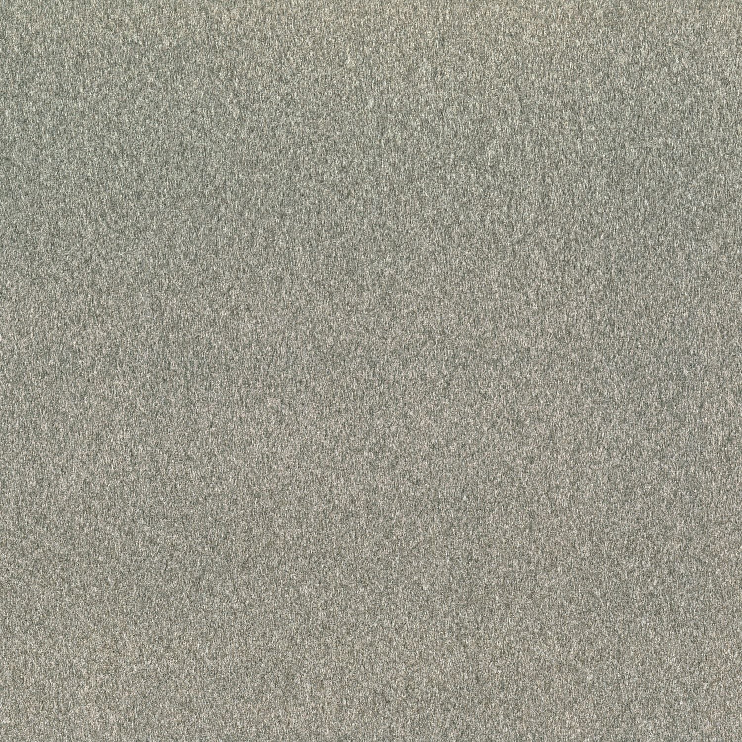 Kangas Clyde Gris
